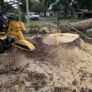 Professional Stump Grinding - Landscaping & Lawn Services