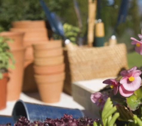 Wholesale Plants & Products Pty Ltd - Dry Creek, SA