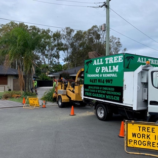All Tree And Palm Trimming And Removal