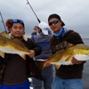 Fish Time Fishing Charters-Fishing Guide gallery