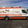 The Graphic Solution gallery