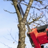 B. C. Lawn Service Inc gallery