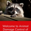 Animal Damage Control gallery