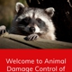 Animal Damage Control