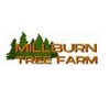 Millburn Tree Farm gallery