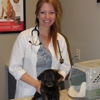 4 Paws Pet Hospital, A Thrive Pet Healthcare Partner gallery