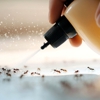 Bay Pointe Pest Control gallery