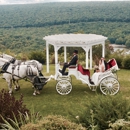 Crystal View Carriage Service - Horse & Carriage-Rental