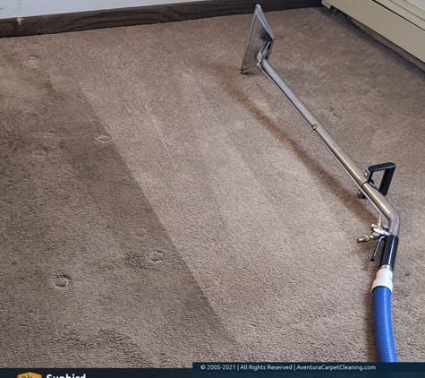 Sunbird Carpet Cleaning Aventura - Aventura, FL