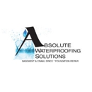 Absolute Waterproofing Solutions, LLC - Mold Remediation