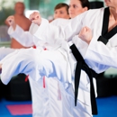 Fusion Martial Arts School llc