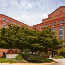 The Hotel at Auburn University & Dixon Conference Center - Hotels