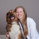 CityVet | Queen Creek