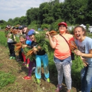 Poughkeepsie Farm Project - Agricultural Consultants