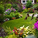 Tiger Stripes Lawn Maintenance - Lawn Maintenance