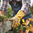 Woody Tree Service, Inc. - Tree Service