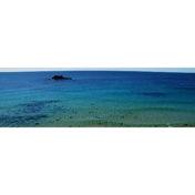 Gallery Image Number 4
