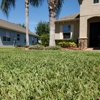 Indoor Pest Control, Land O Lakes | Trinity, Your Green Team gallery