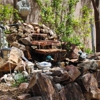 Advance Gardening Service gallery