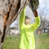 The Goat Lawn & Tree Services gallery