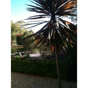 Gallery Image Number 6