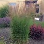 Jennifer's Landscape Designs