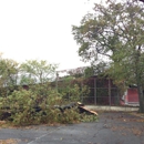 Ps 143 - Elementary Schools