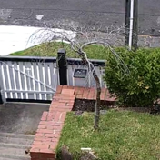 Gallery Image Number 4