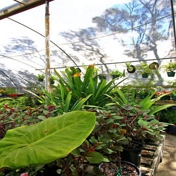 Gallery Image Number 4