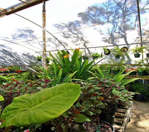 Glenvue Wholesale Nursery - Rye, VIC