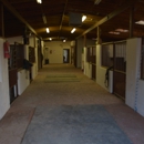 Country Estate Equestrian Center - Horse Training