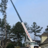 R & R Tree Service Inc gallery