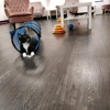 Tally Cat Cafe gallery