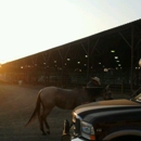 Mesa County Fairgrounds - Fairgrounds