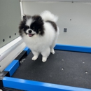 Mobile Pet Salon - Pet Grooming