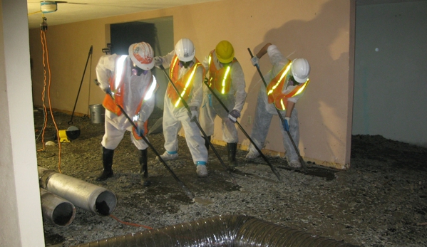 Mold Solutions Inc - Madera, CA