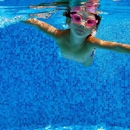 Aqua-Delics Custom Pools - Swimming Pool Equipment & Supplies