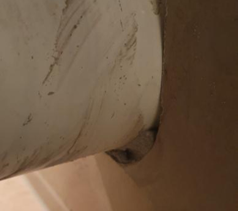 Only Floors - Edge Hill, QLD. In grouped around toilet pipe.
