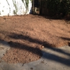 Stump Grinding & Removal gallery