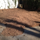 Stump Grinding & Removal - Landscaping & Lawn Services