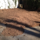 Stump Grinding & Removal