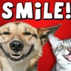 Pet Medical Center of Katy gallery