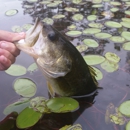 Pensacola Pond Pros - Lake Management