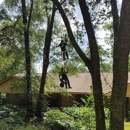 A Cut Above Tree Care, Inc. - Stump Removal & Grinding