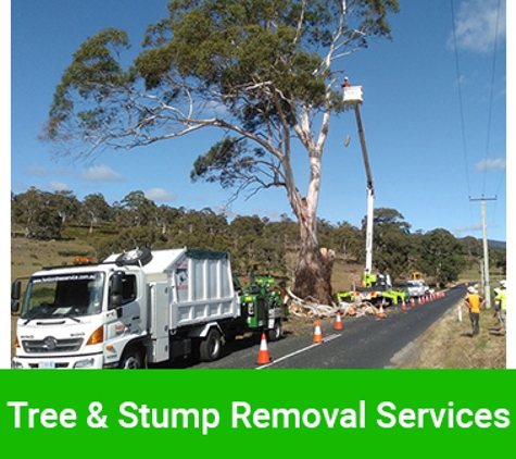 Horizon Tree Service - Lutana, TAS. Tree & Stump Removal Services
