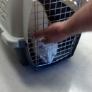 Lakeside Pet Hospital - Veterinary Clinics & Hospitals