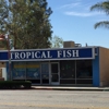 Tropical Fish gallery