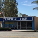 Tropical Fish - Tropical Fish