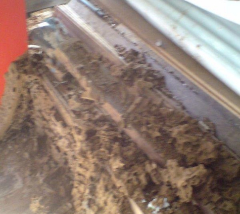 Action Pest Control - Carey Park, WA. Termite Pest Control