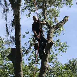 Dunkle's Tree Service - Jacksonville, FL